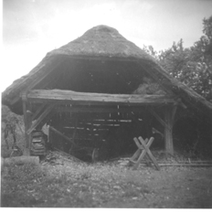 eika image